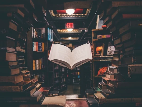 Dissertation & Project Service