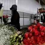 Florist