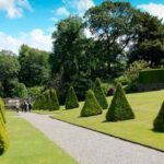 Garden & Lawn Care